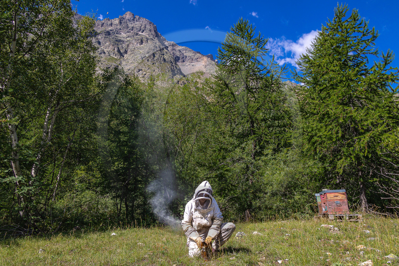 La miellerie du Lauzet