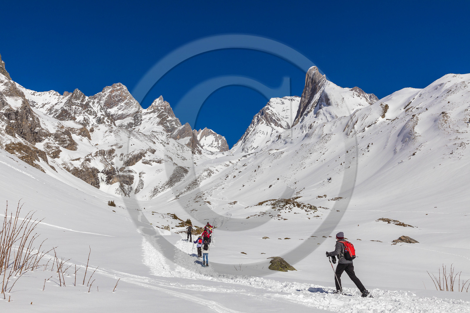 Pralognan-la-Vanoise, randonnée en raquettes à neige