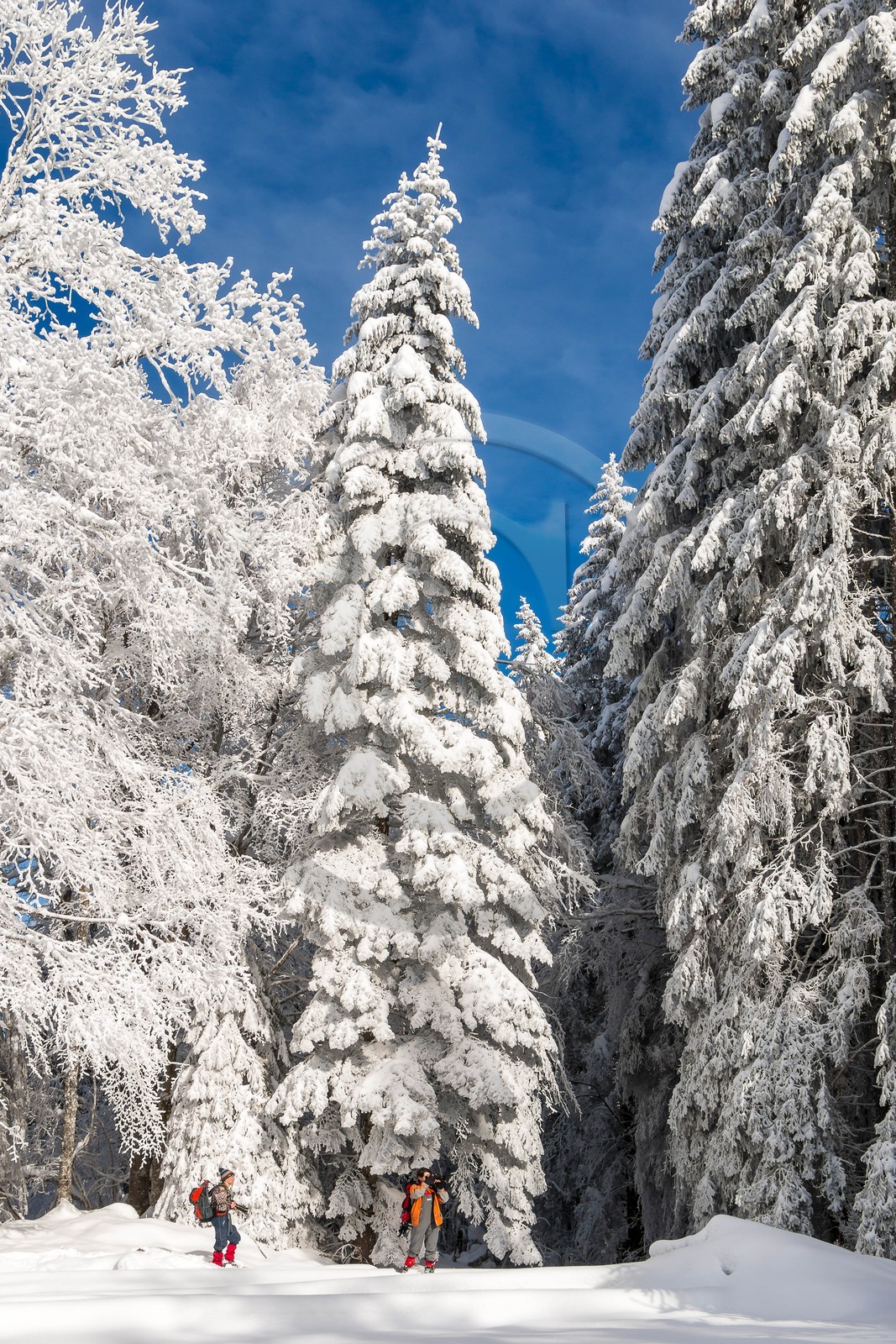 ENS de l'Isère, Les Ecouges