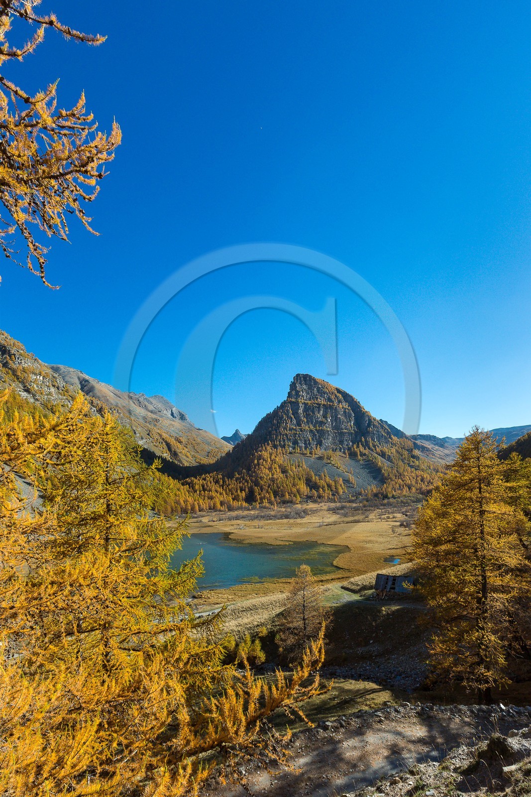 Jausiers, Lac des Sagnes et forêt de mélèzes à l'automne