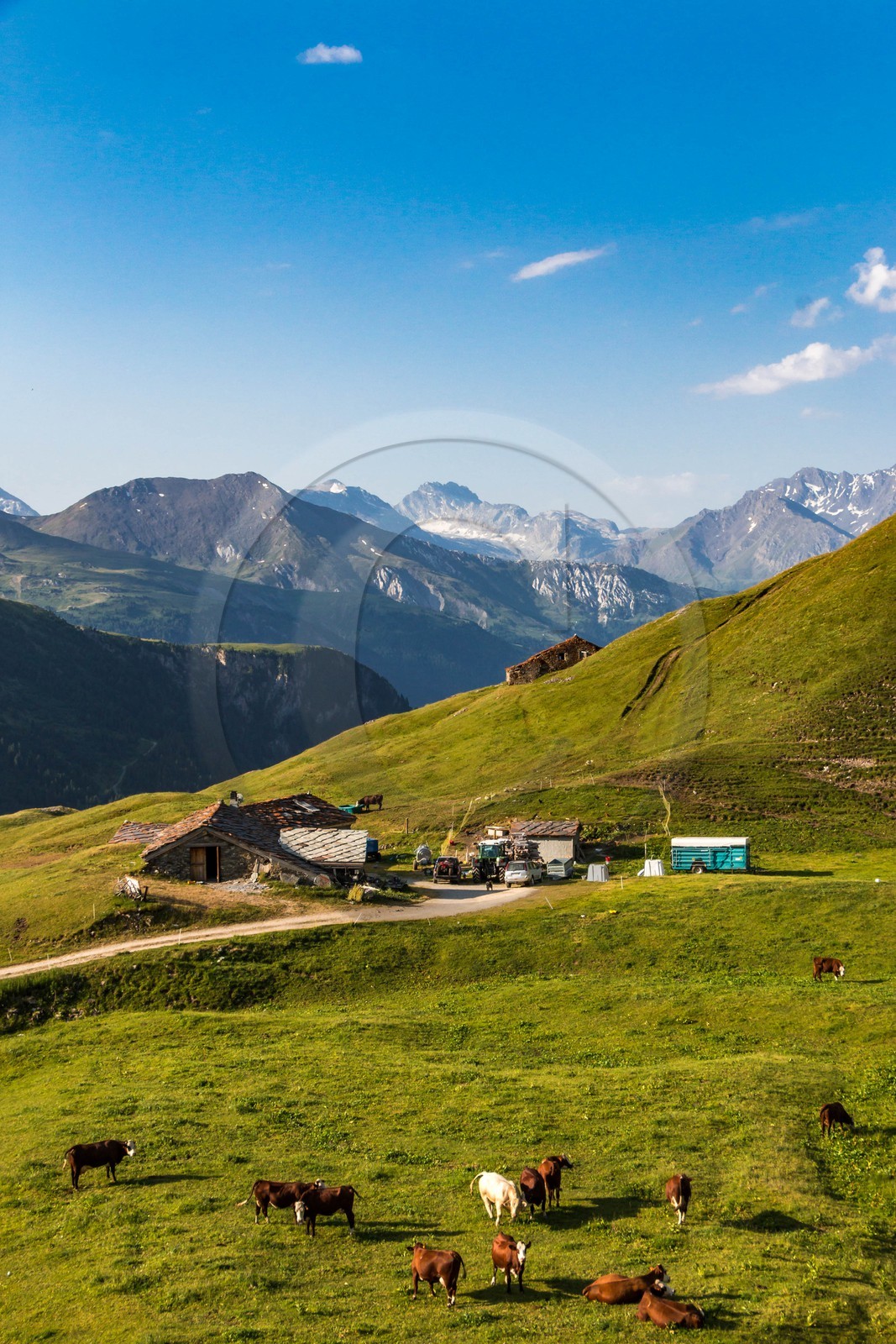 Termignon, alpage de Chavières