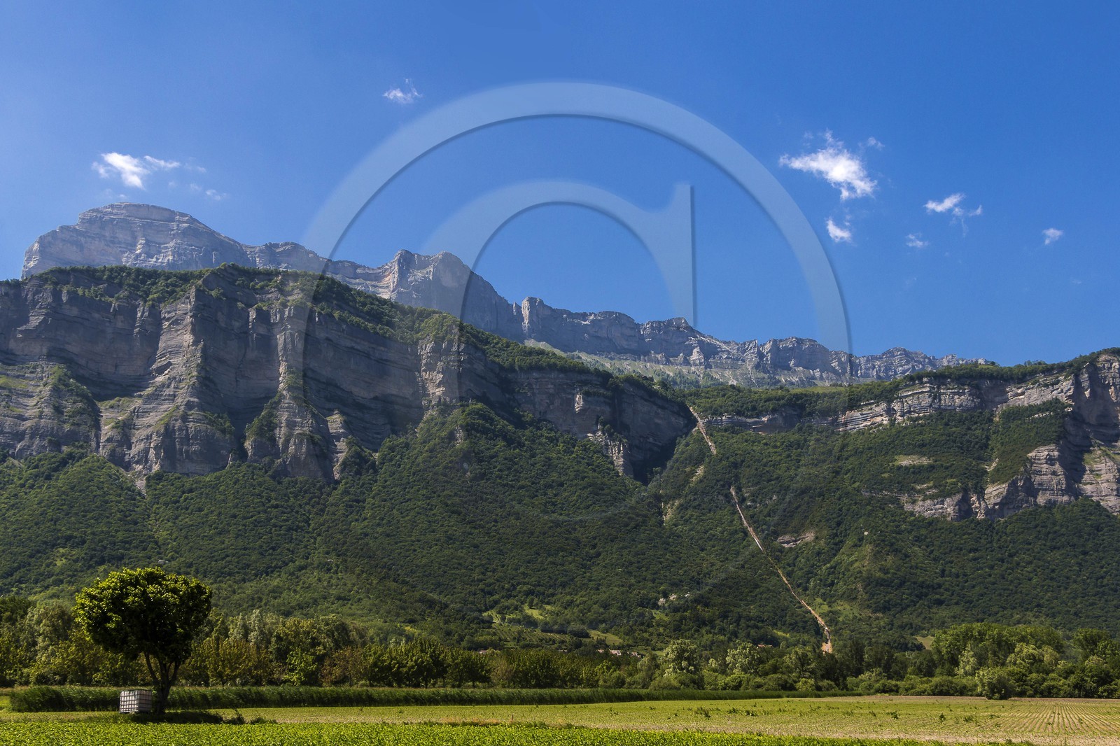 ENS de l'Isère, Marais de Montfort