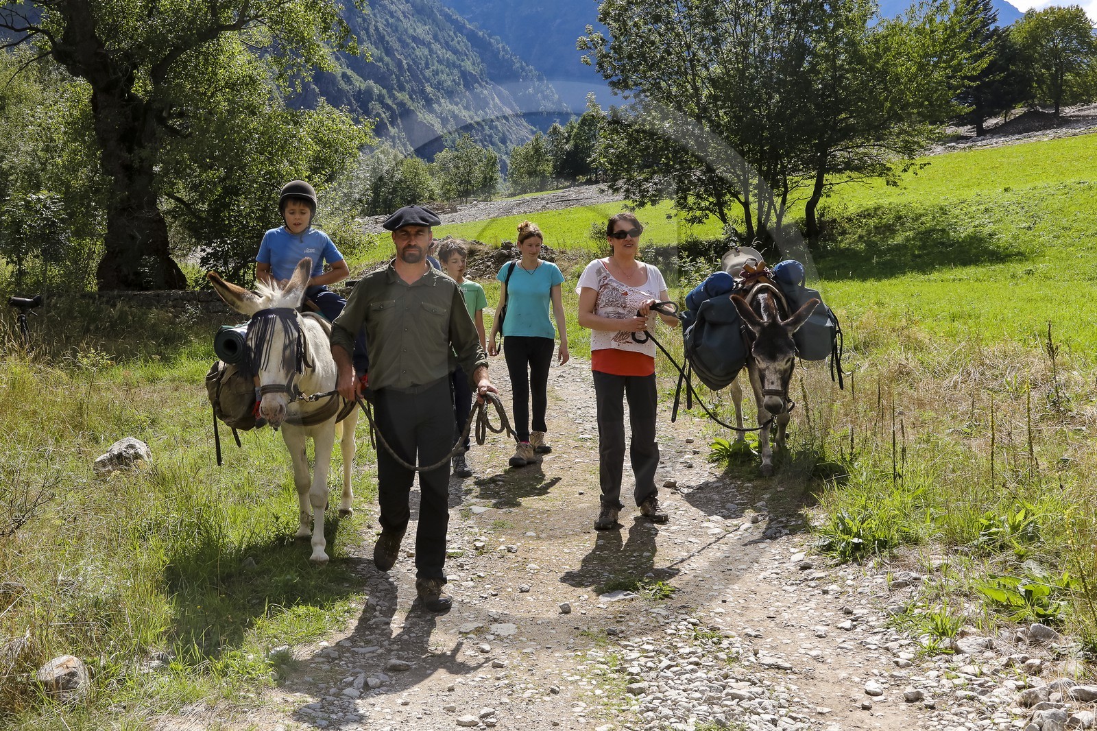 Yohann Masnada, accompagnateur ânier