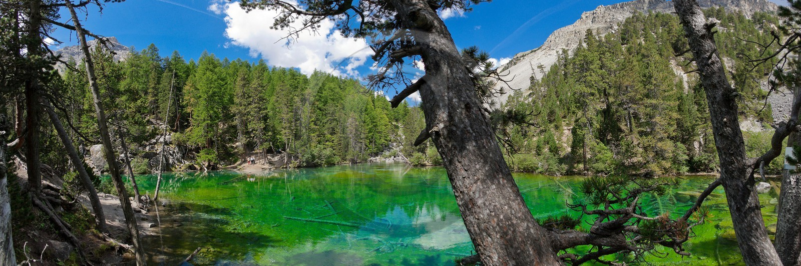Lac Vert, vallée Etroite
