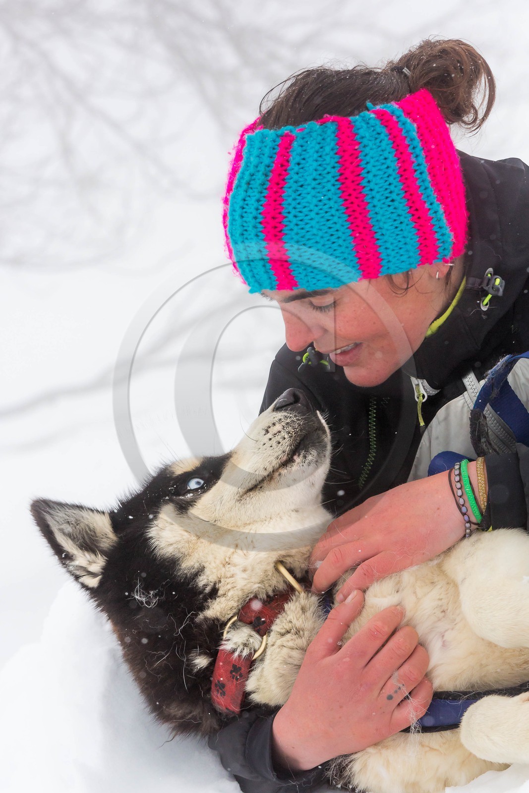 Pays de Serre-Ponçon, Réallon, EdenGaia, chiens de traineau