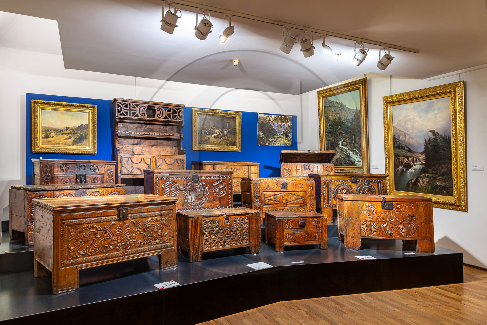 Gap, Musée Muséum départemental des Hautes-Alpes