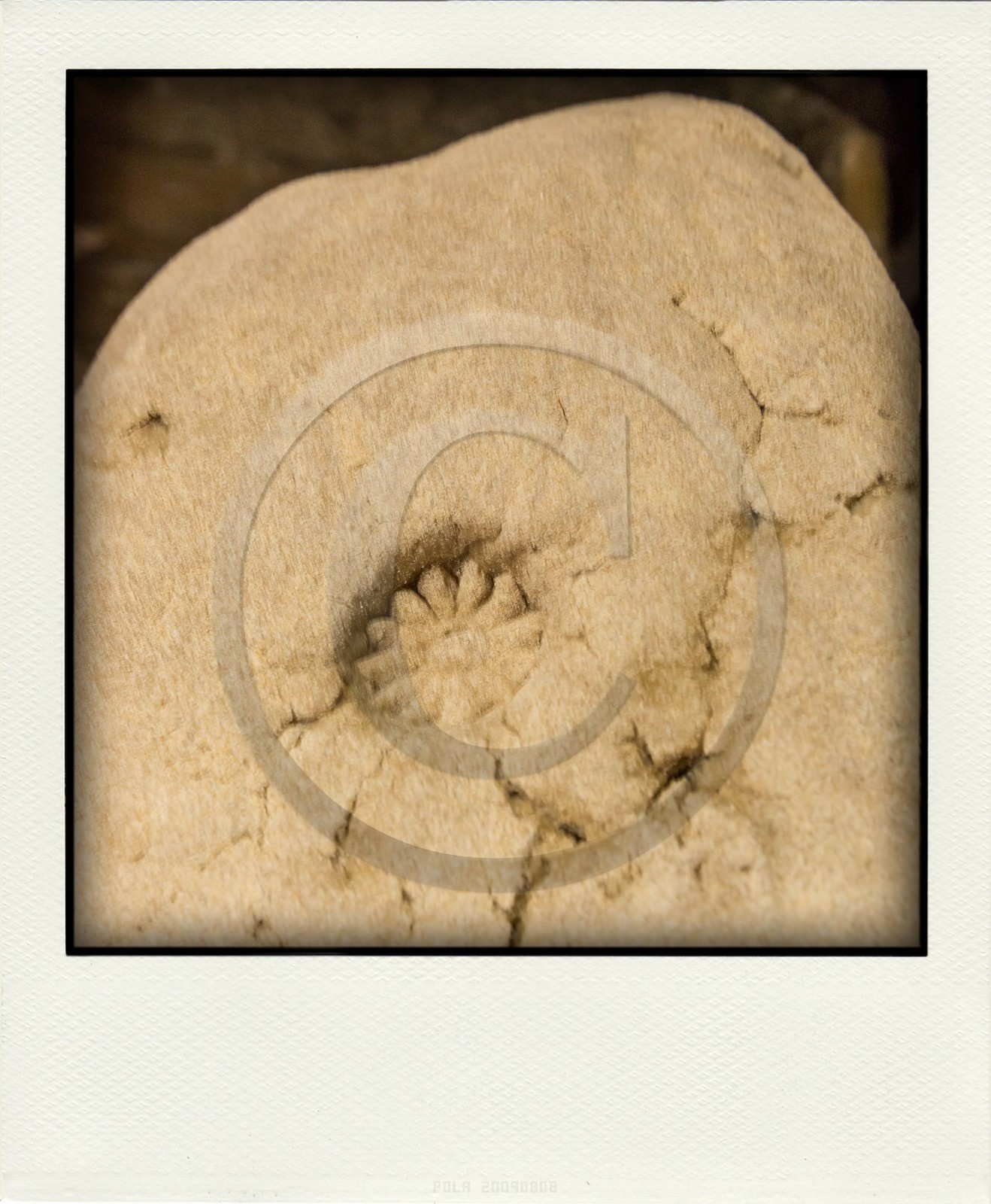 Village de Villar-d'Arène, fête du pain bouilli ou pain noir, marque de la famille Rousset