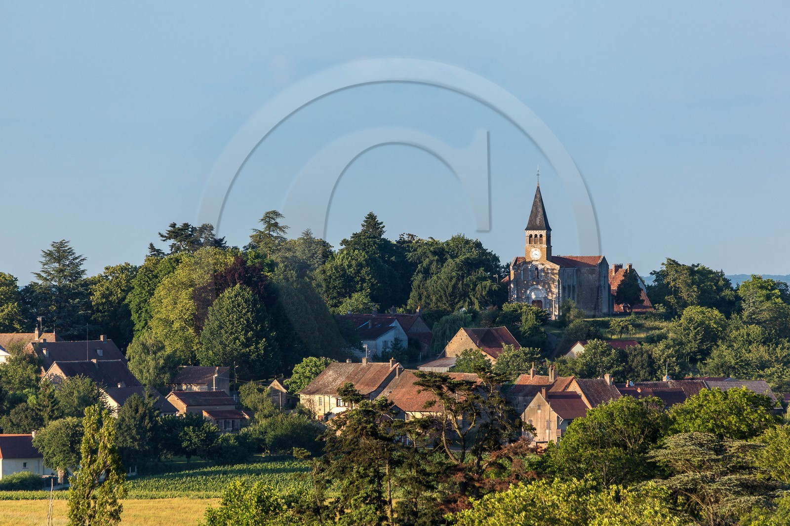 Domaine viticole Michel-Andreotti