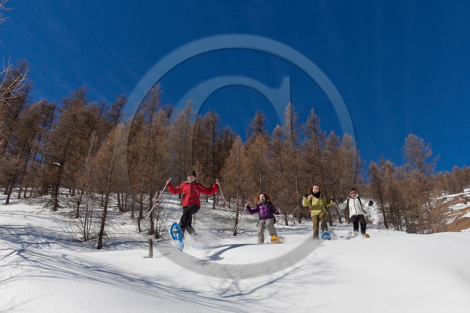 Randonnée raquettes