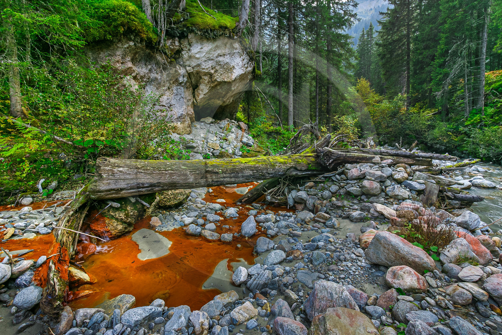 Réserve naturelle des Contamines-Montjoie, source ferrugineuse dans le torrent de Tré-la-Tête