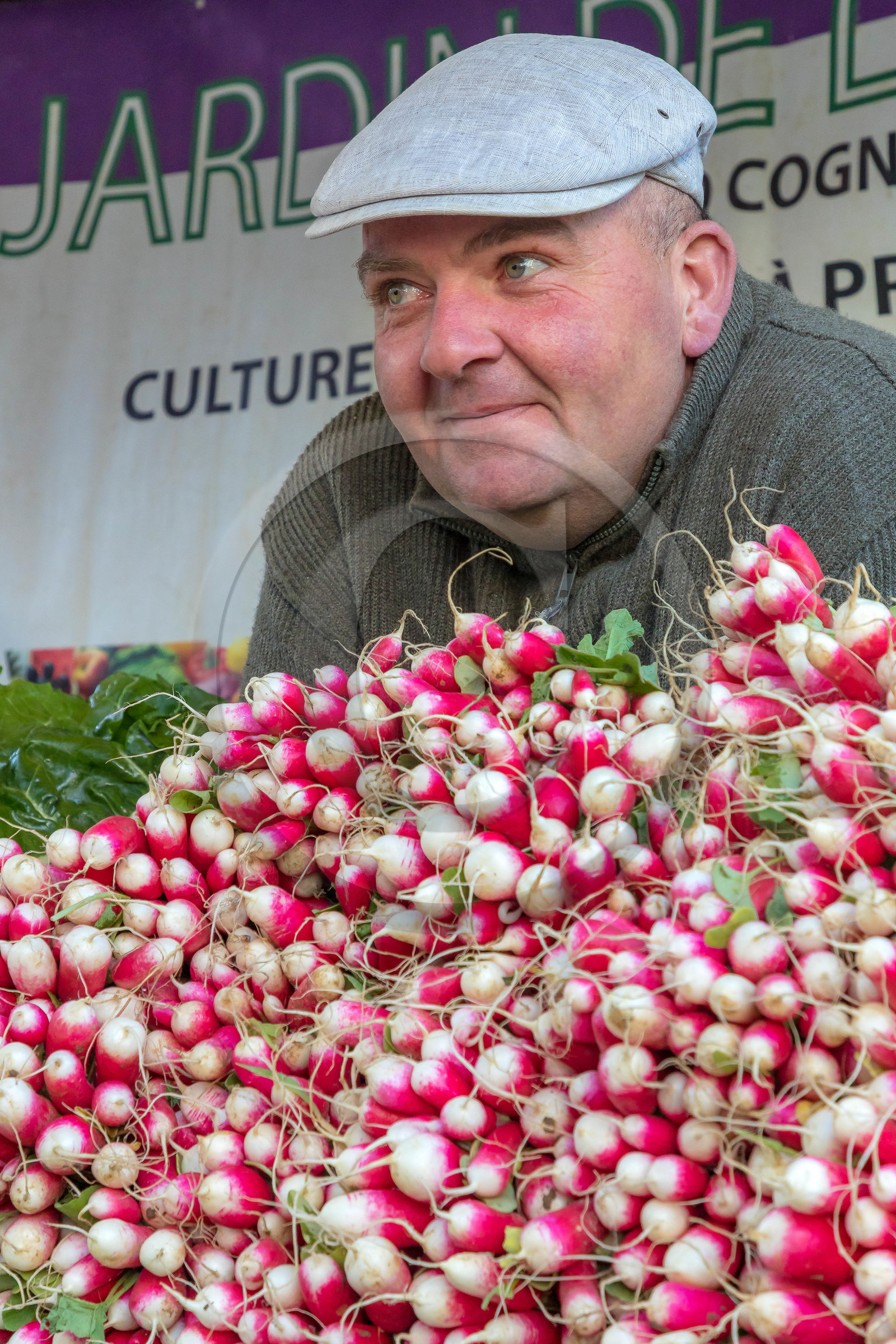 Le jardin de la violette