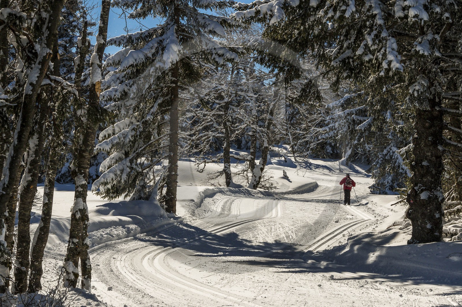 ENS de l'Isère, Plateau de la Molière et du Sornin