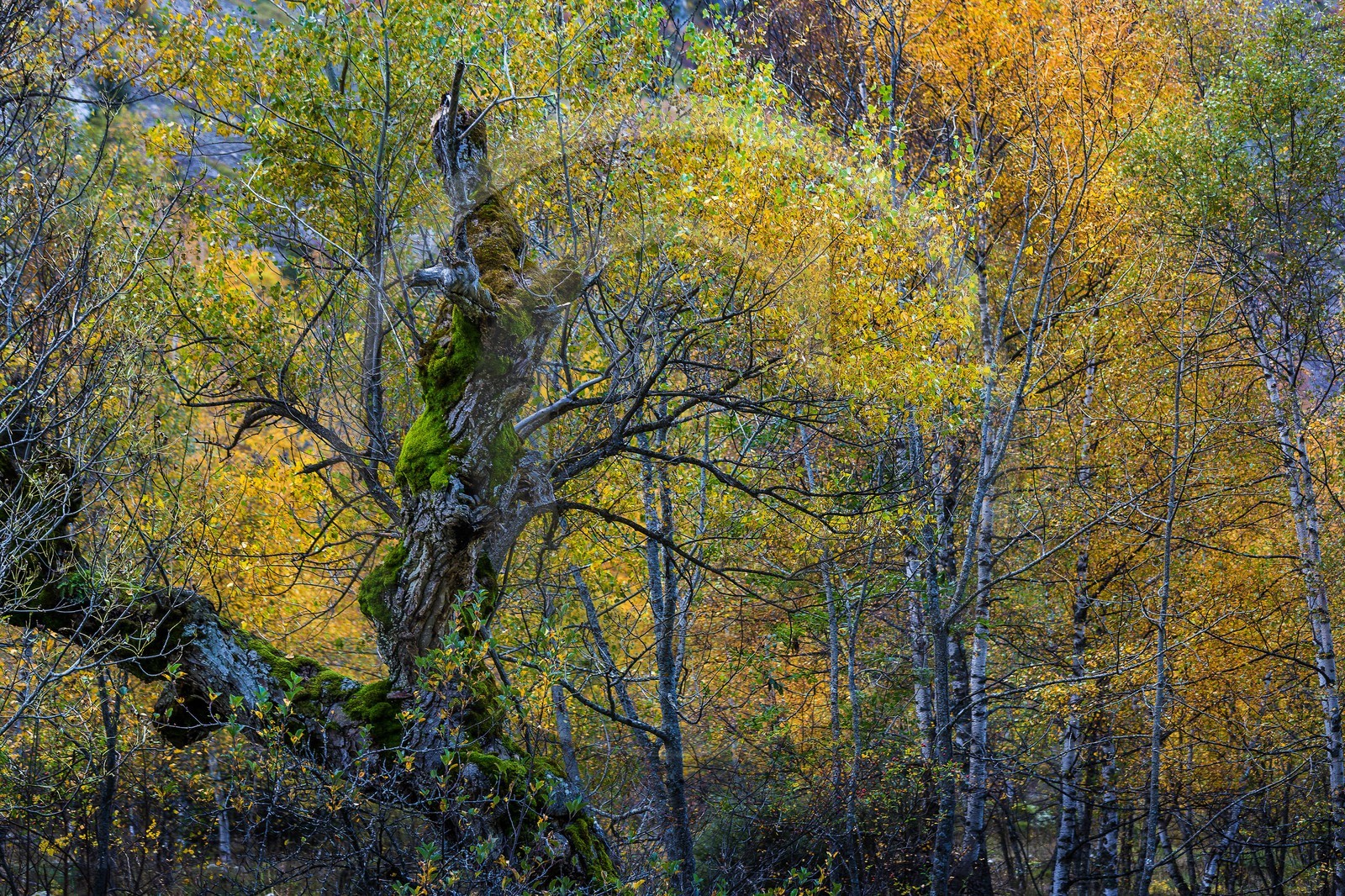 Vallée de la Bonne, village Le Désert
