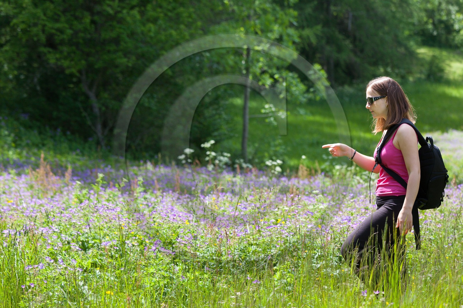 Randonnée champêtre