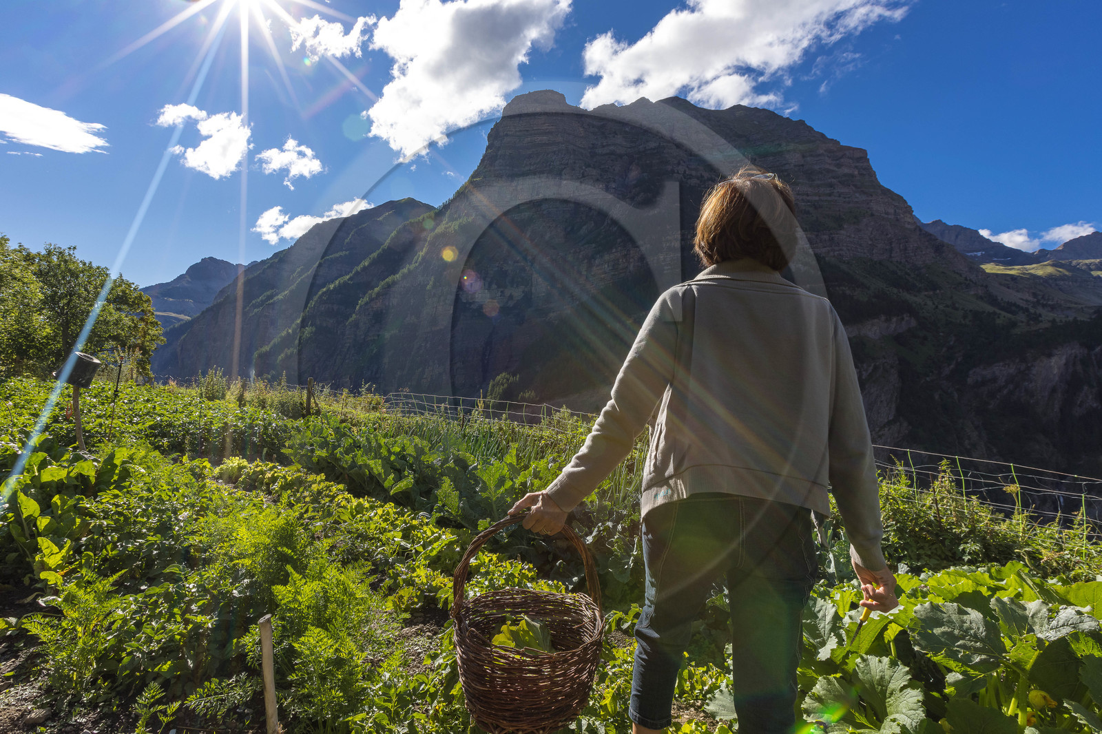 L'Ecrin de Violette, Chambres et table d'hôtes