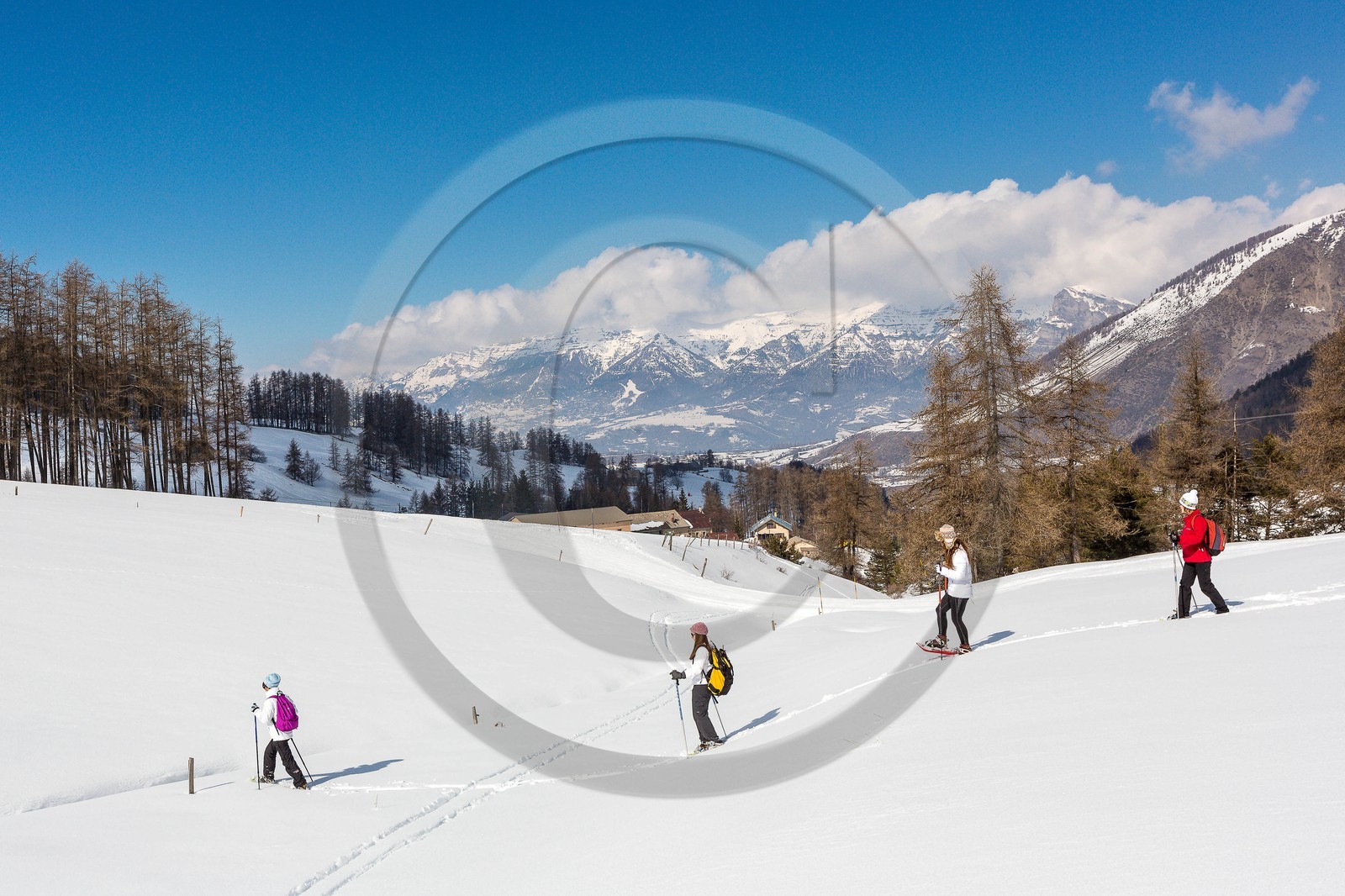 Ancelle, col de Moissière, randonnée à raquettes à neige