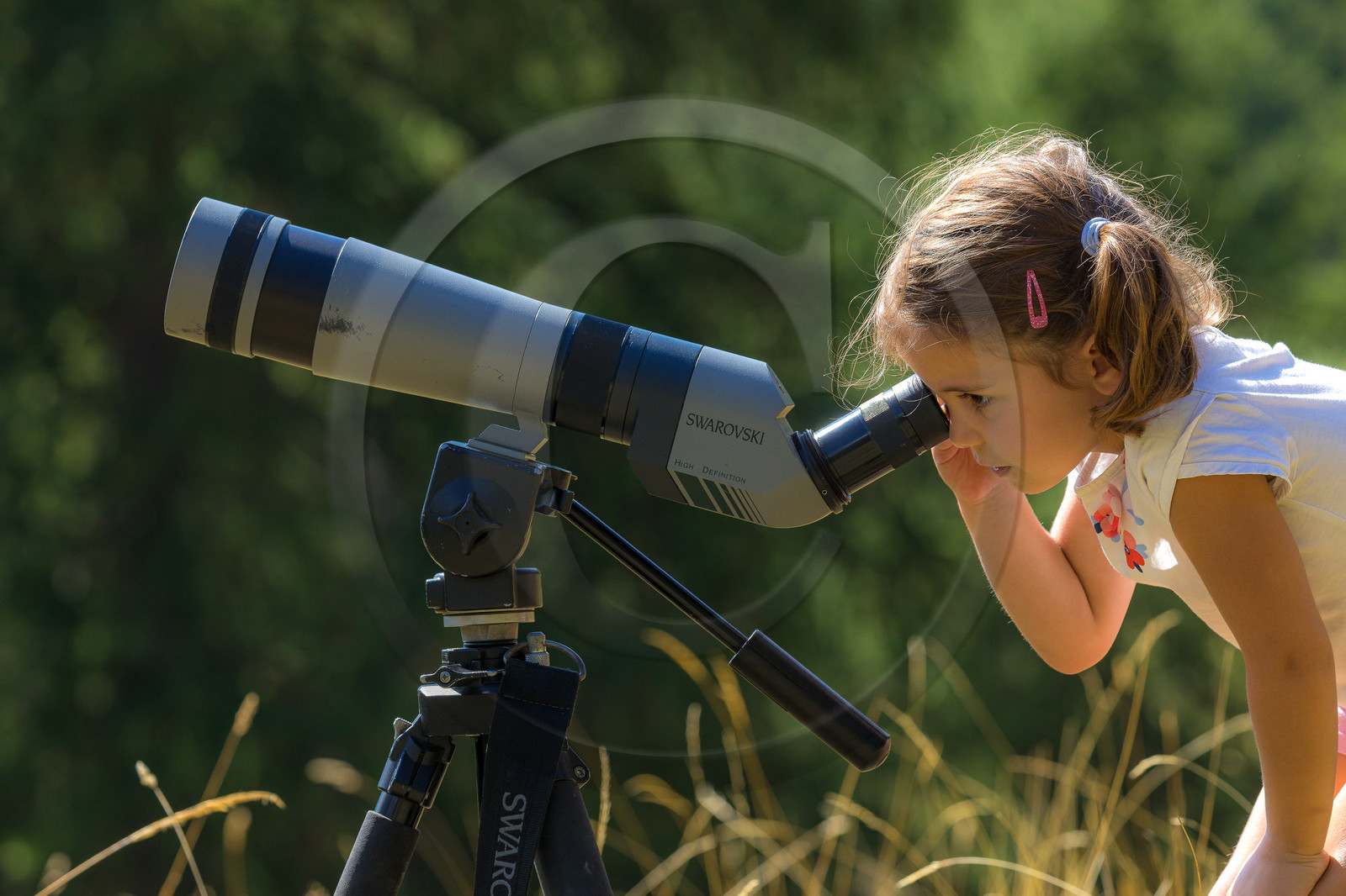 Bureau Montagne Visa Trekking