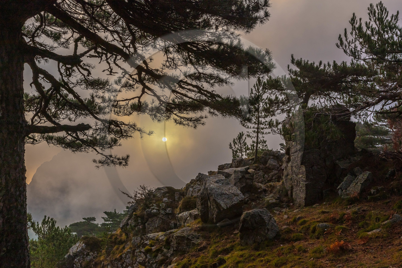 Les Aiguilles de Bavella (forchi di Bavedda )
