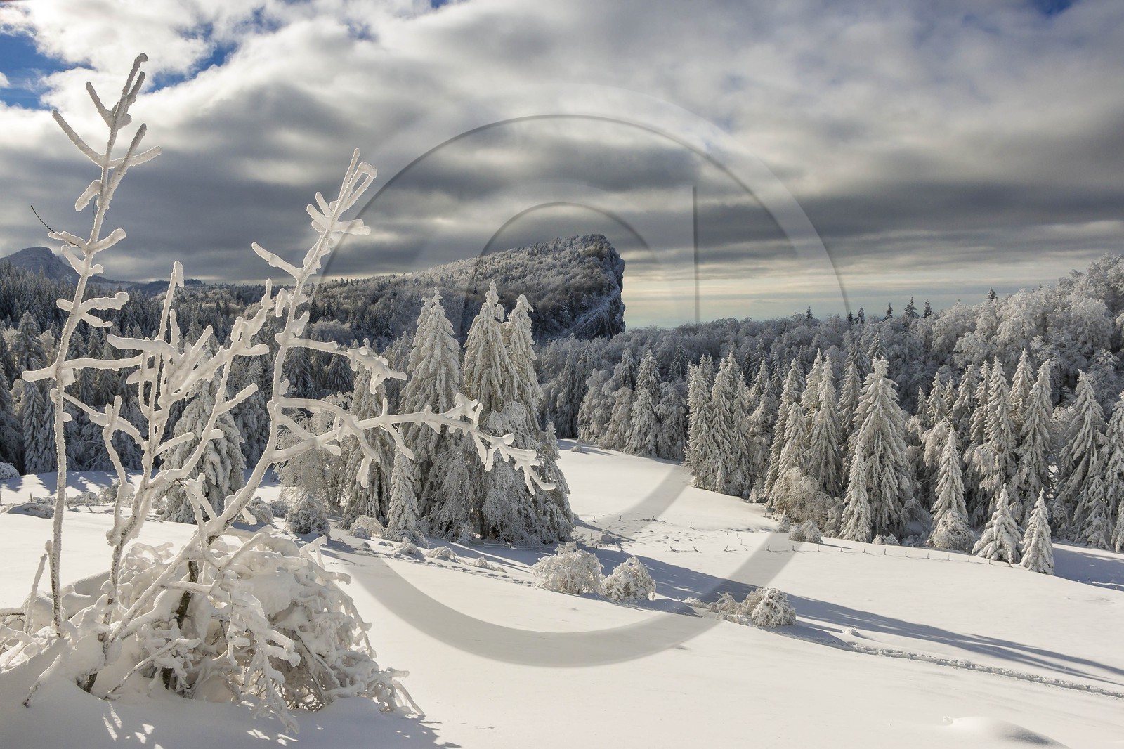 ENS de l'Isère, Les Ecouges