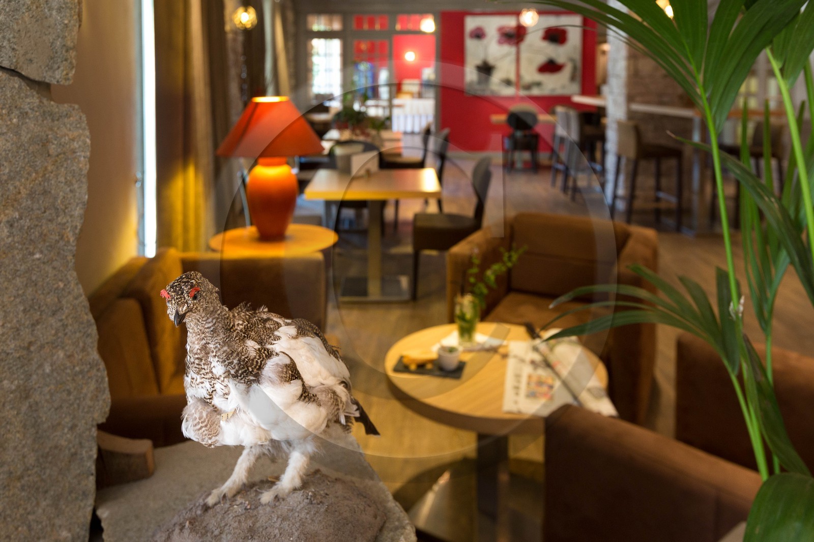 Hôtel restaurant spa Les Bartavelles