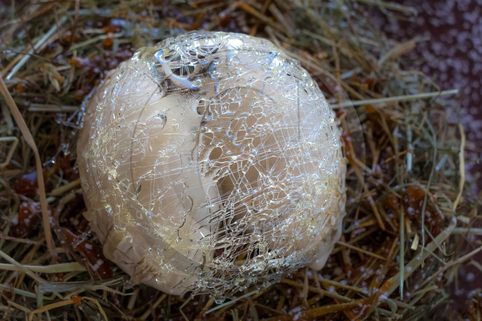 L’avalanche des desserts imaginée par nos Cuisiniers Pâtissiers