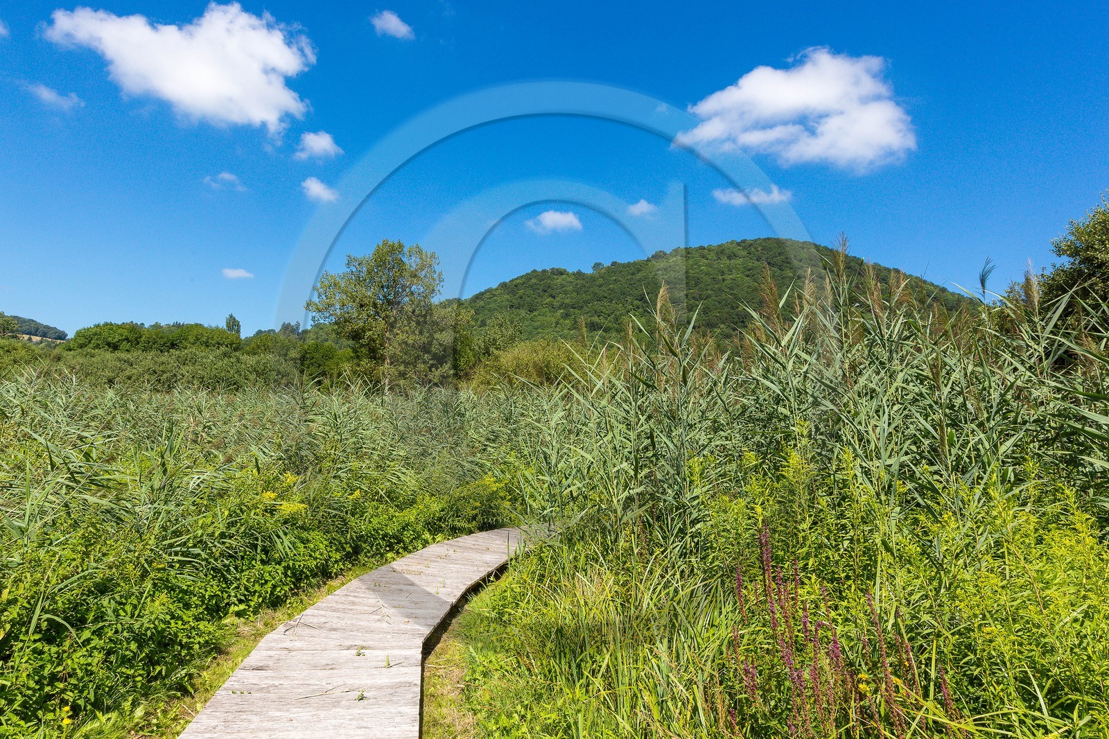 ENS de l'Isère, Marais de Chirens