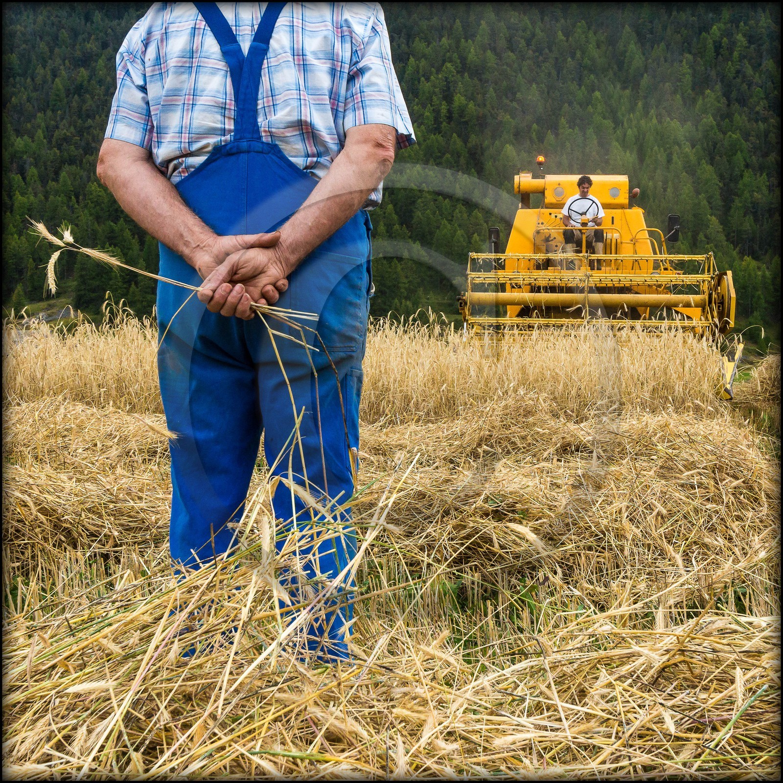 Ceillac, Christophe Gauthier, Exploitant agricole