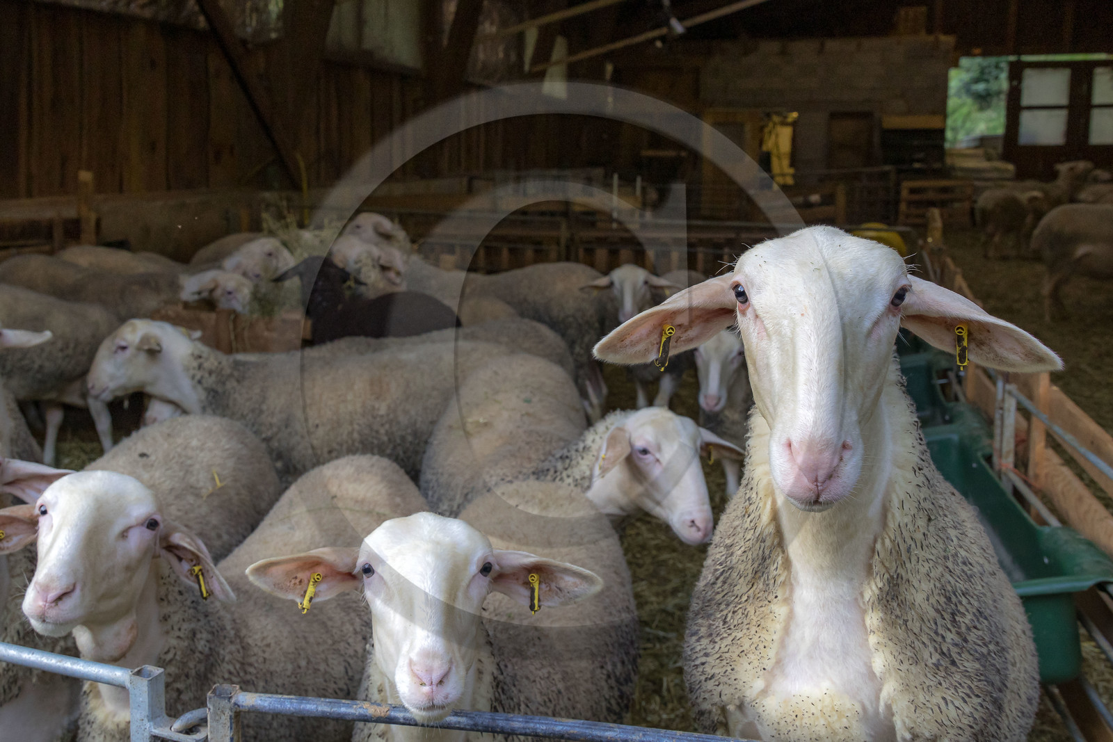 Bergerie de la Lignarre