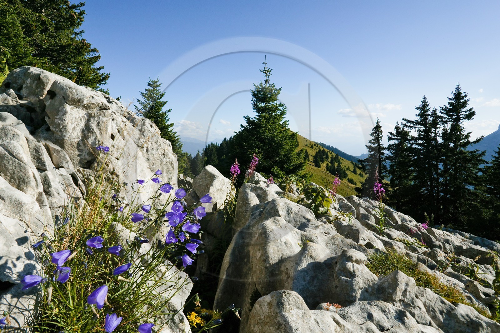 Espace naturel sensible de l'Isère, Col du Coq