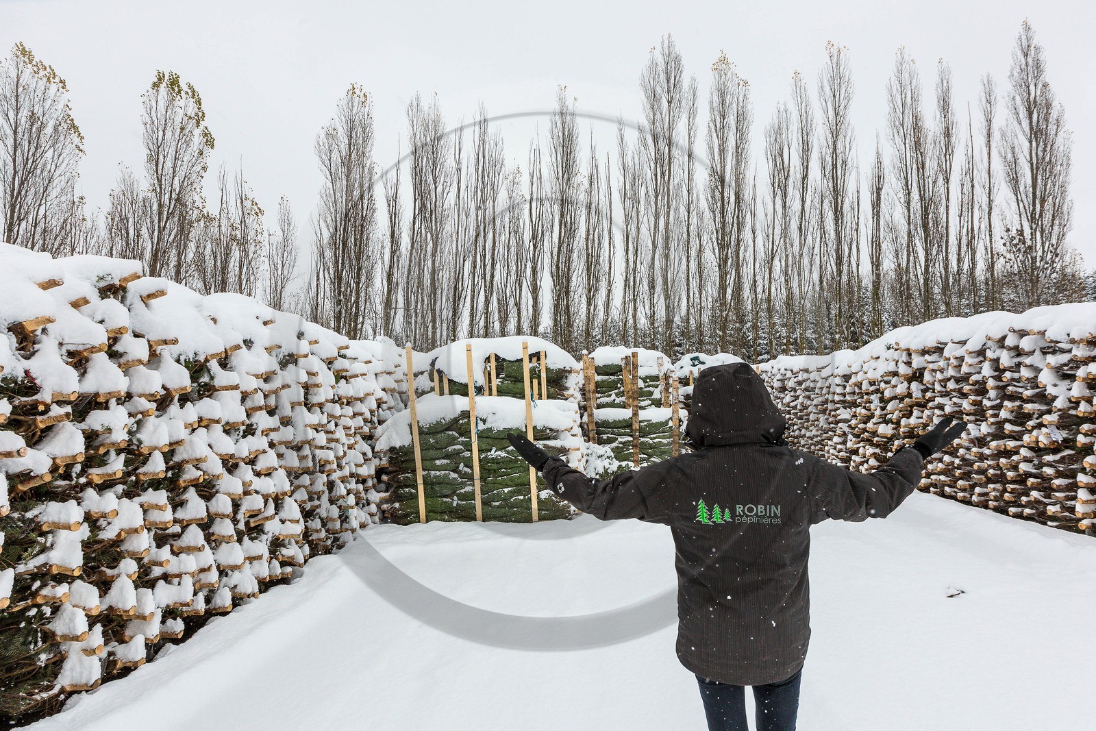Pépinière Robin, producteur de sapin de Noël, Christine Robin