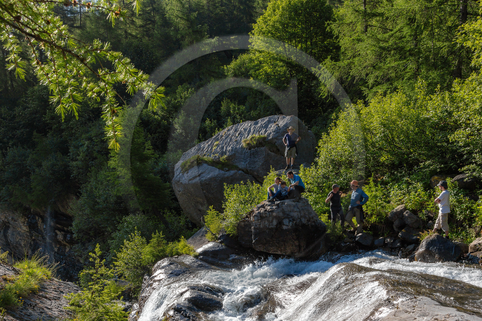 Randonnée pédestre