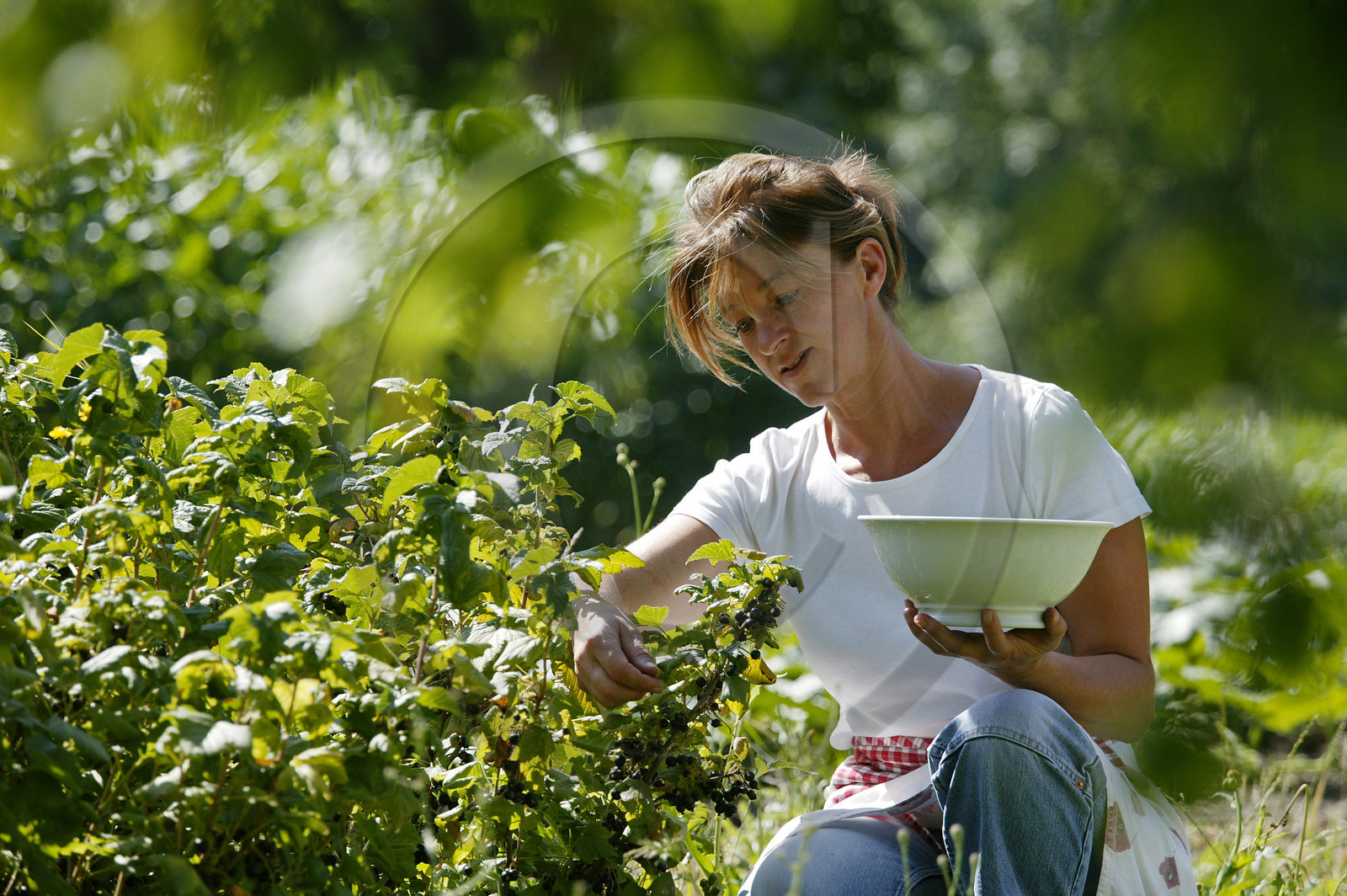 Auberge du Moulin, Corinne Borel