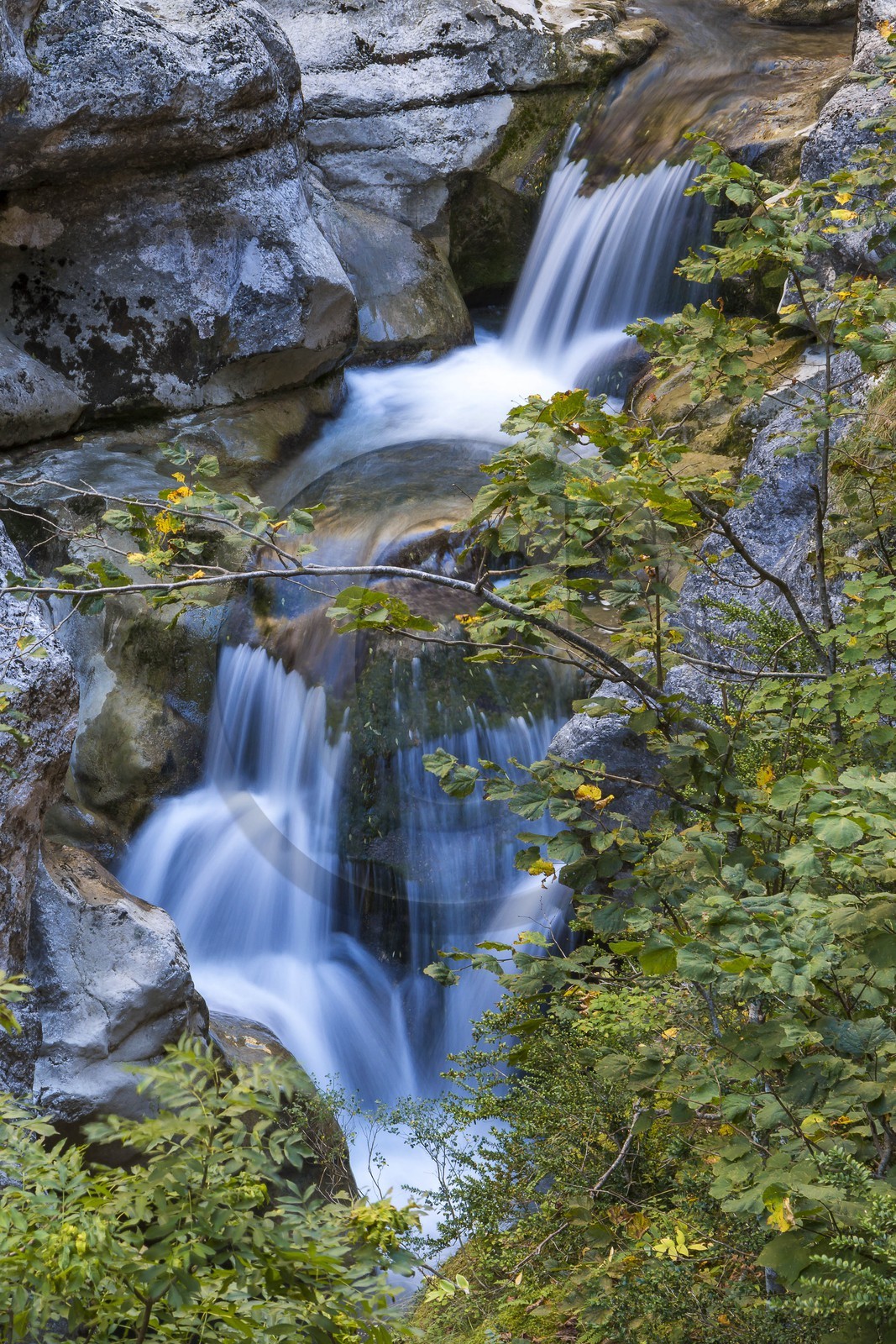 Estéron, Saint-Auban