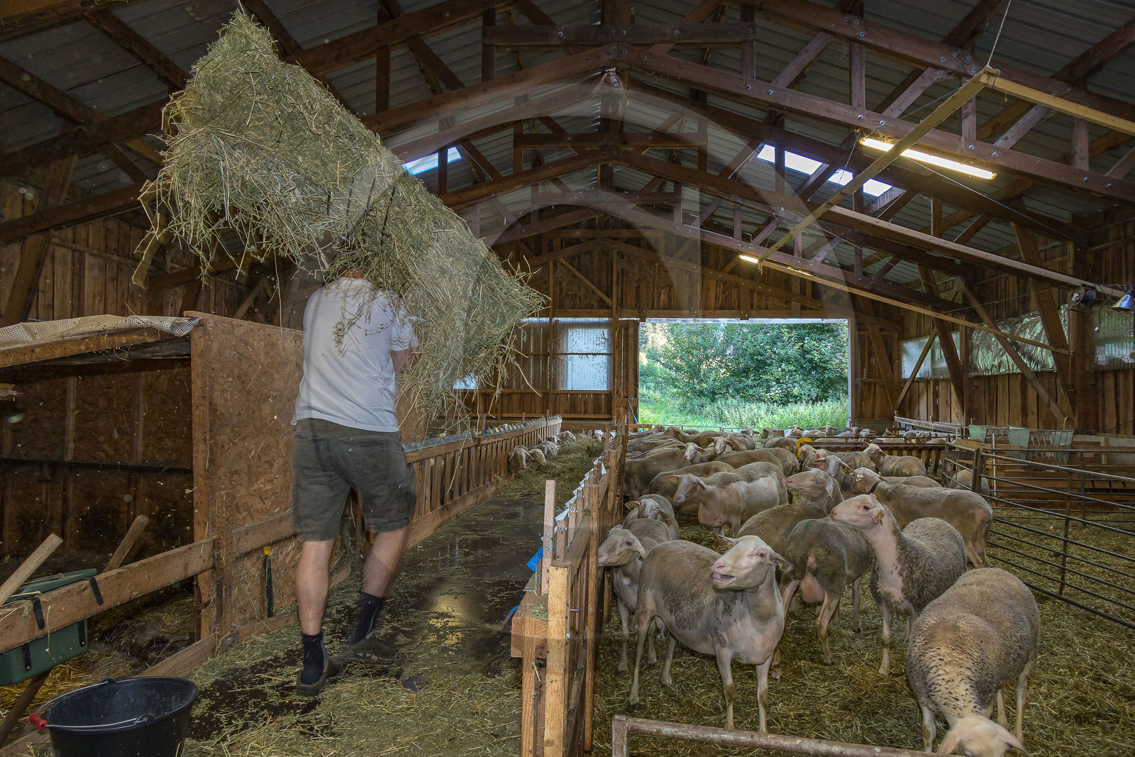 Bergerie de la Lignarre