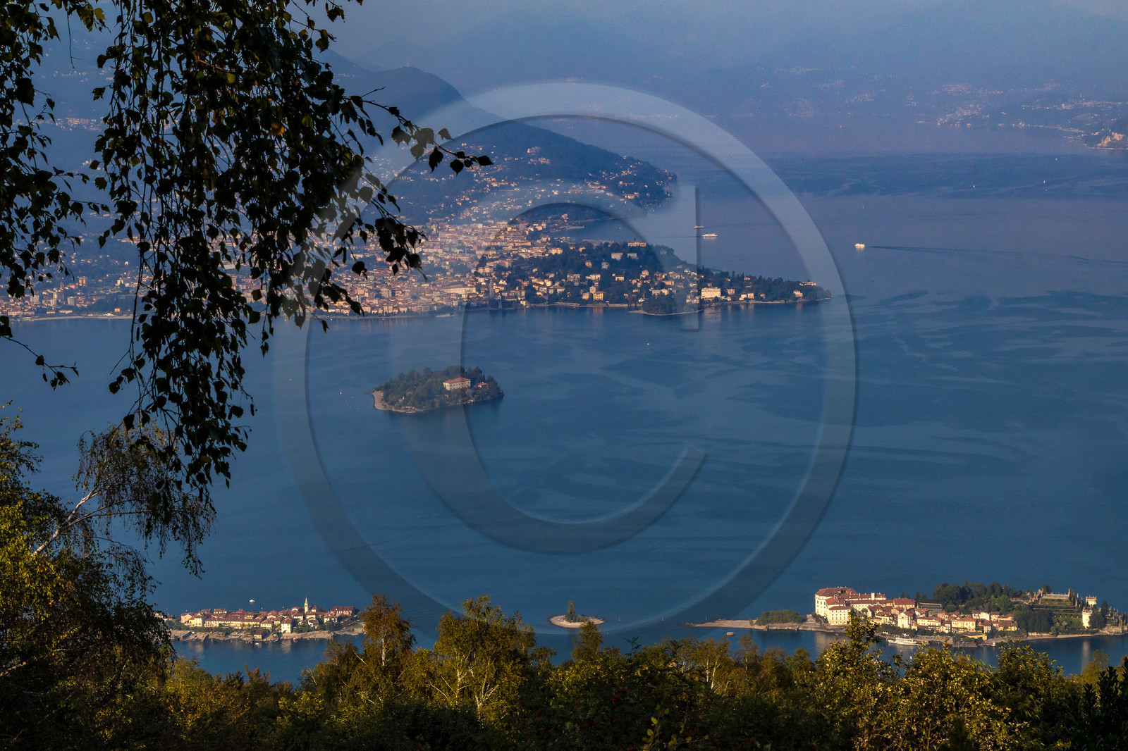 Monte Mottarone, jardin Alpinia