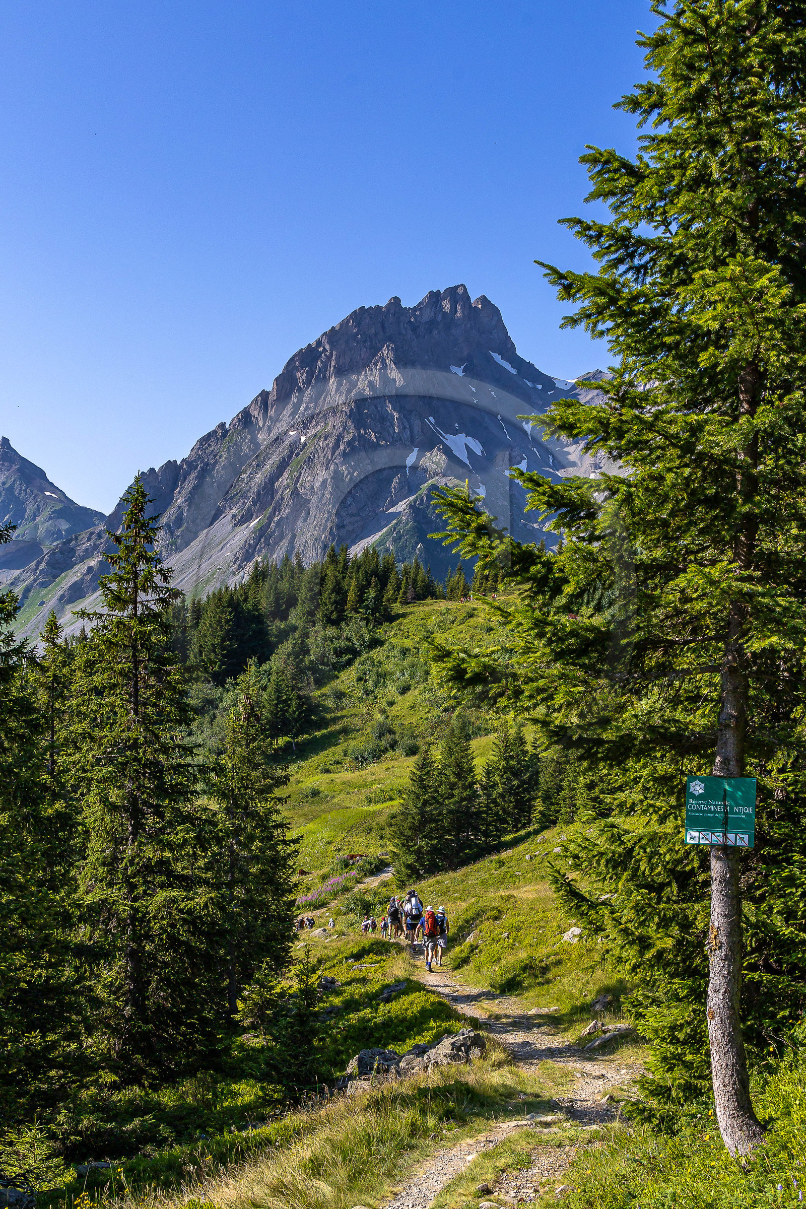 Réserve Naturelle des Contamines-Montjoie, randonnée pédestre