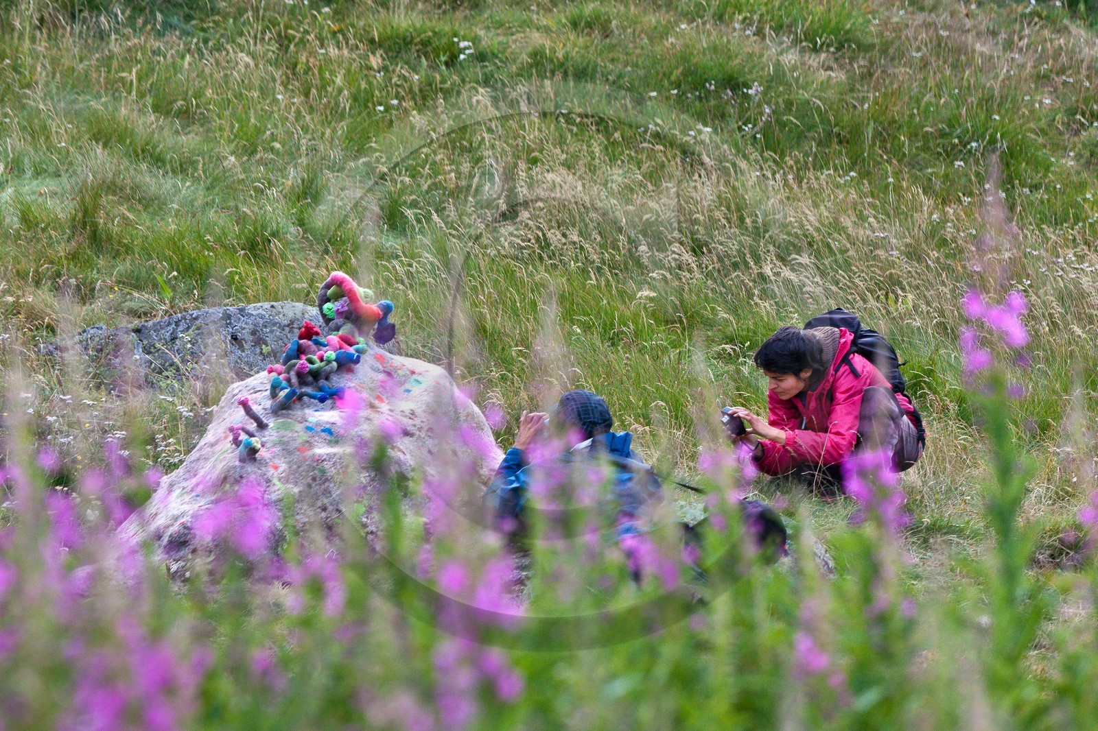 Sentiers Art et Nature Queyras et Val Varaita, Stéphanie Cailleau