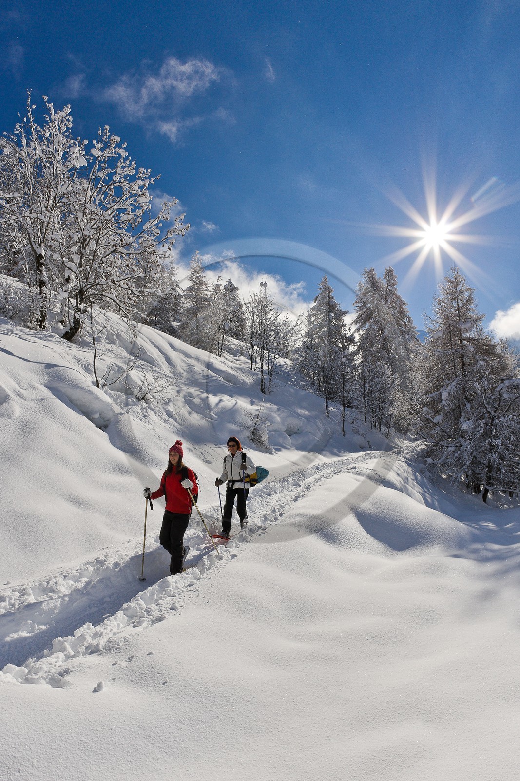 Randonnée raquettes