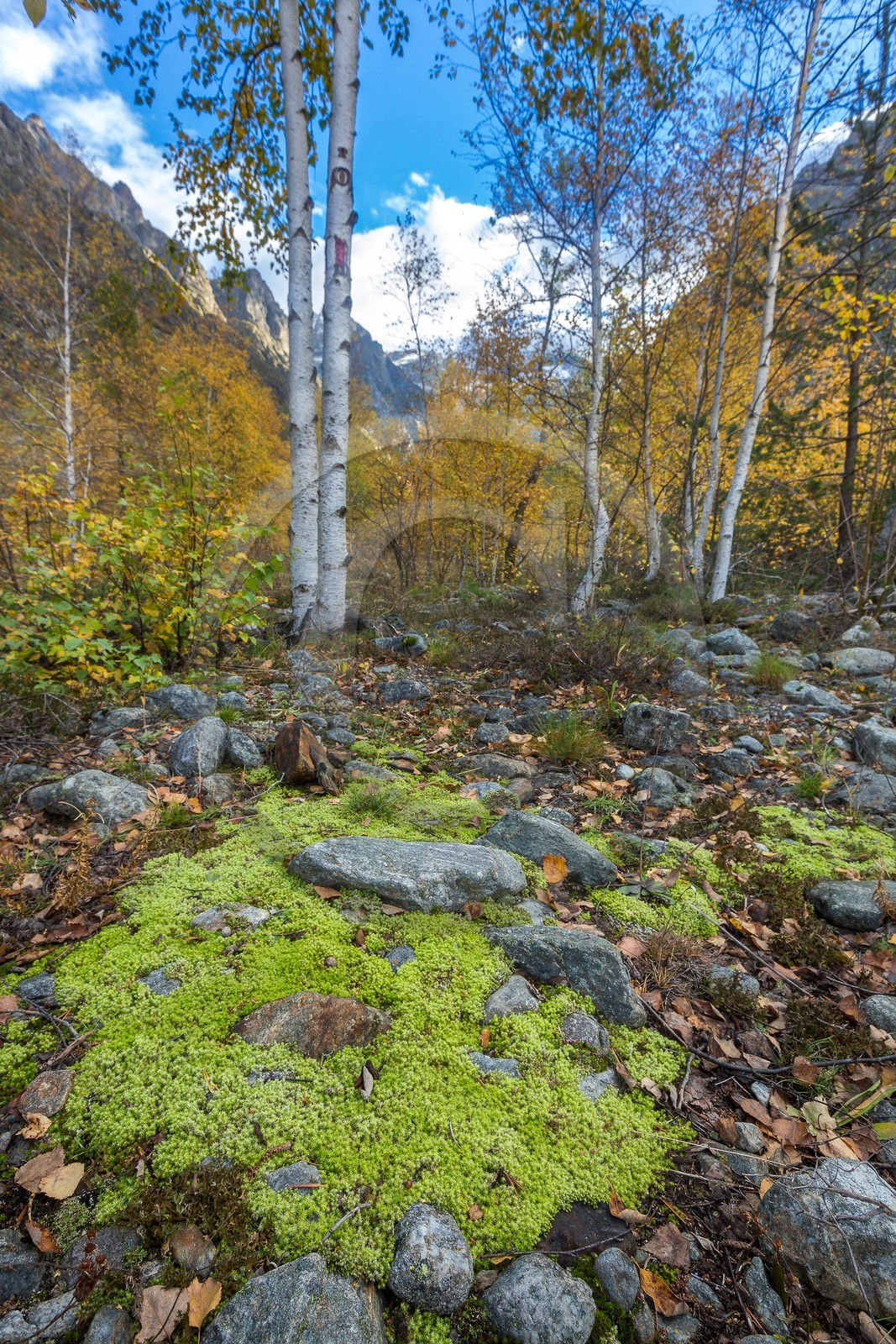 Vallée de la Bonne, village Le Désert