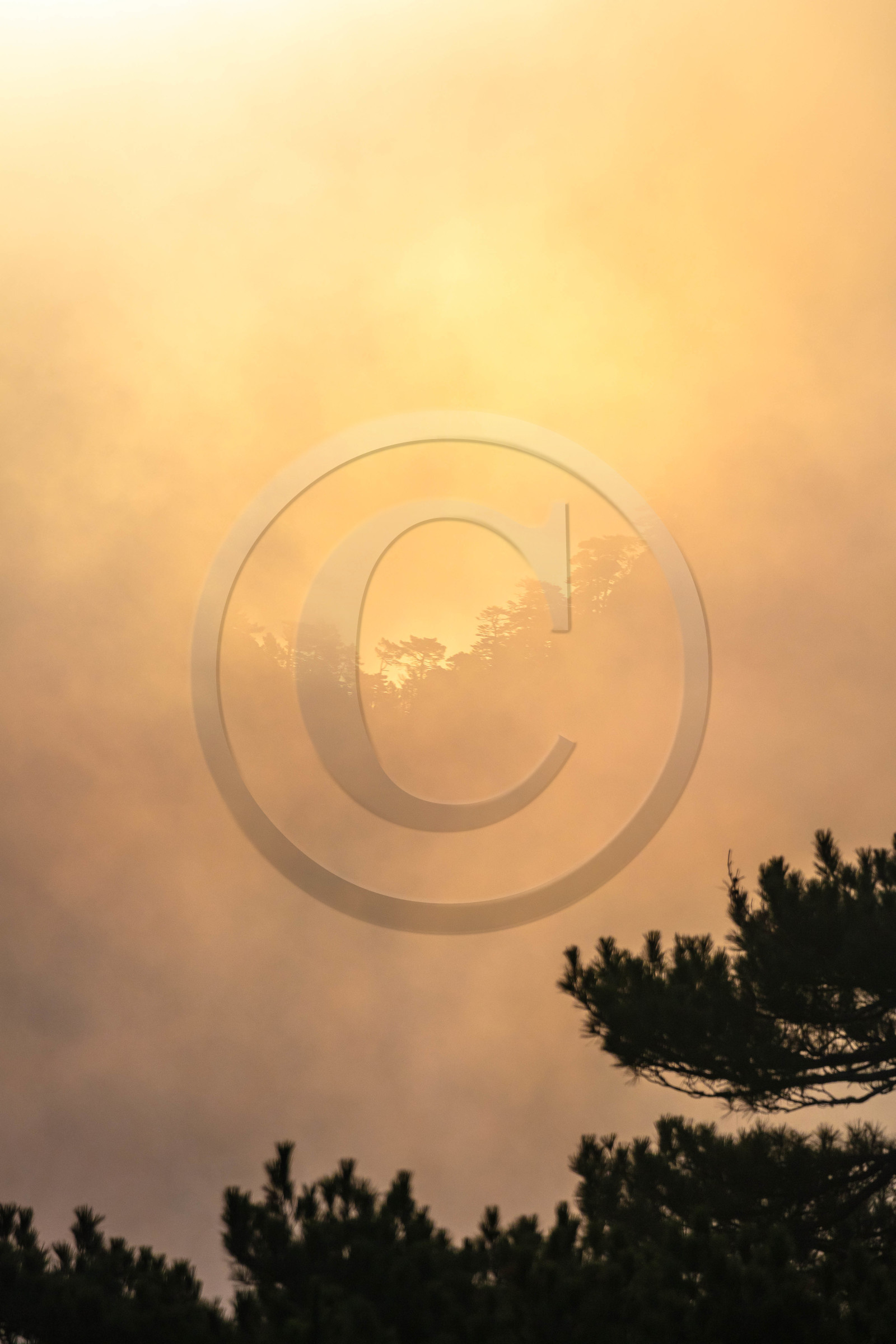 Les Aiguilles de Bavella (forchi di Bavedda )