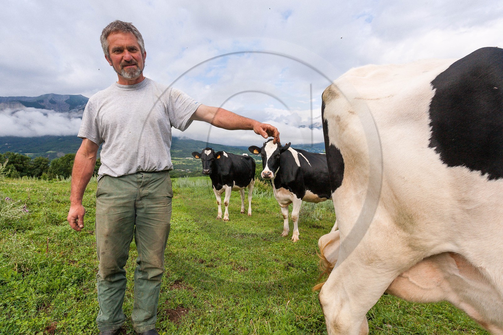 Rolland Bernard, éléveur