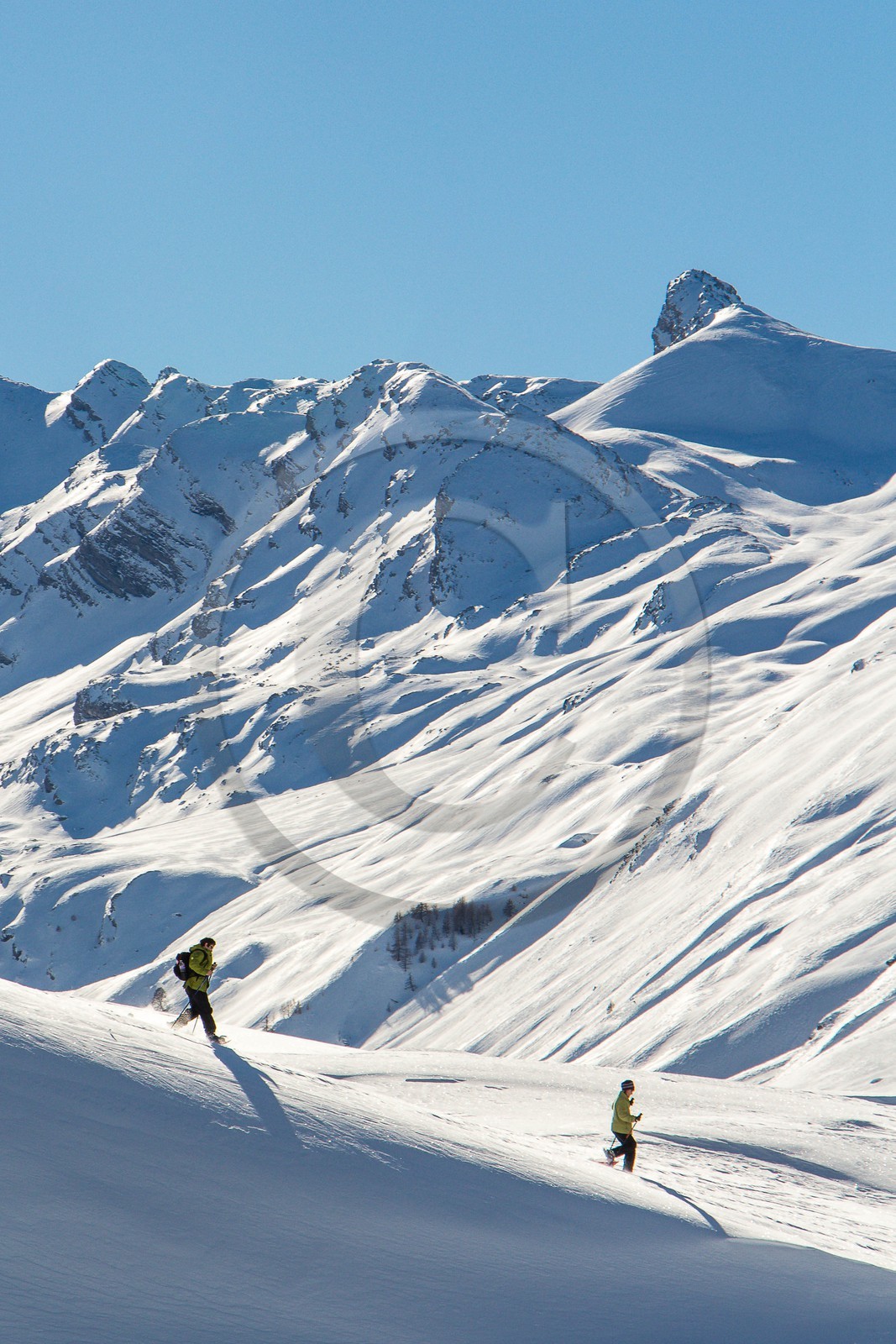 Col de Larche, vallon du lauzanier, randonnée raquettes