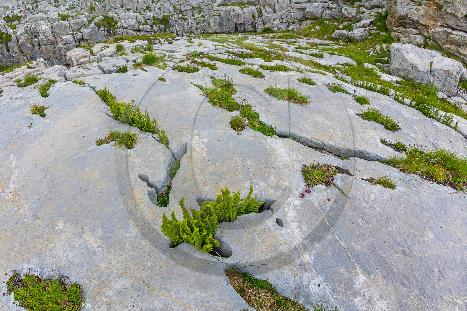 Les Oucanes de Chabrières
