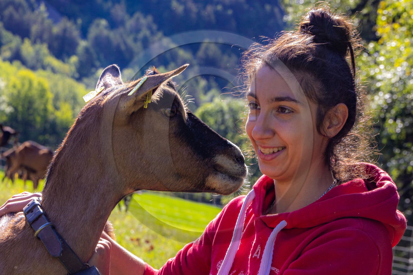 Gaec La Ferme des Ecrins