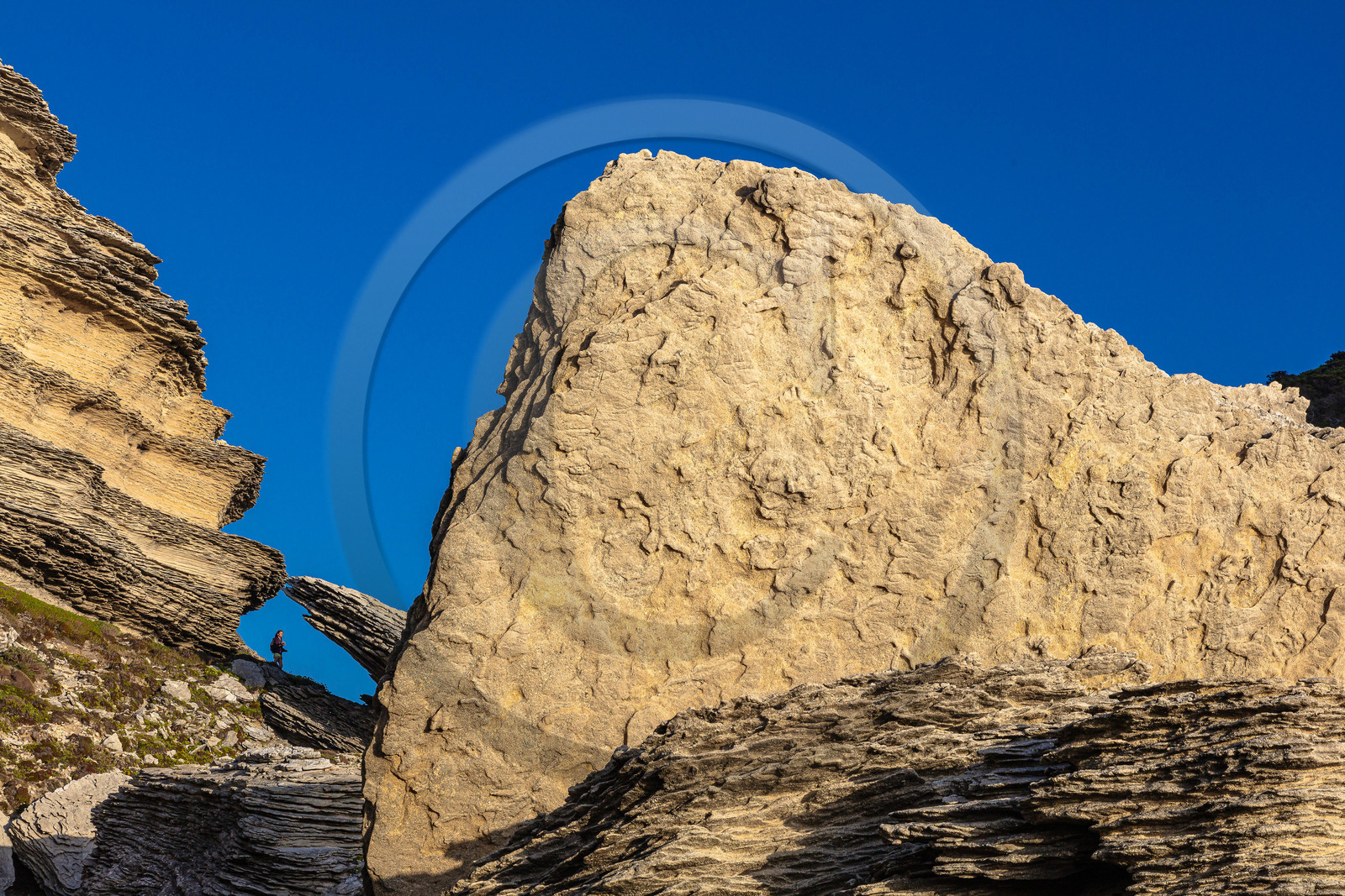 Falaises de calcaire de Bonifacio