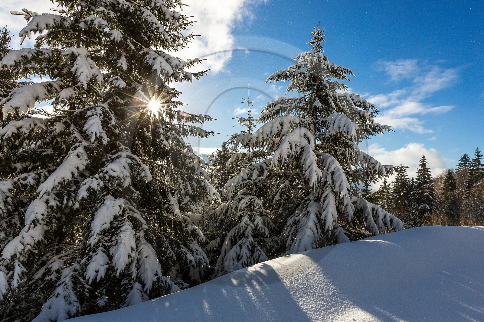 Espace naturel sensible de l'Isère, Col du Coq