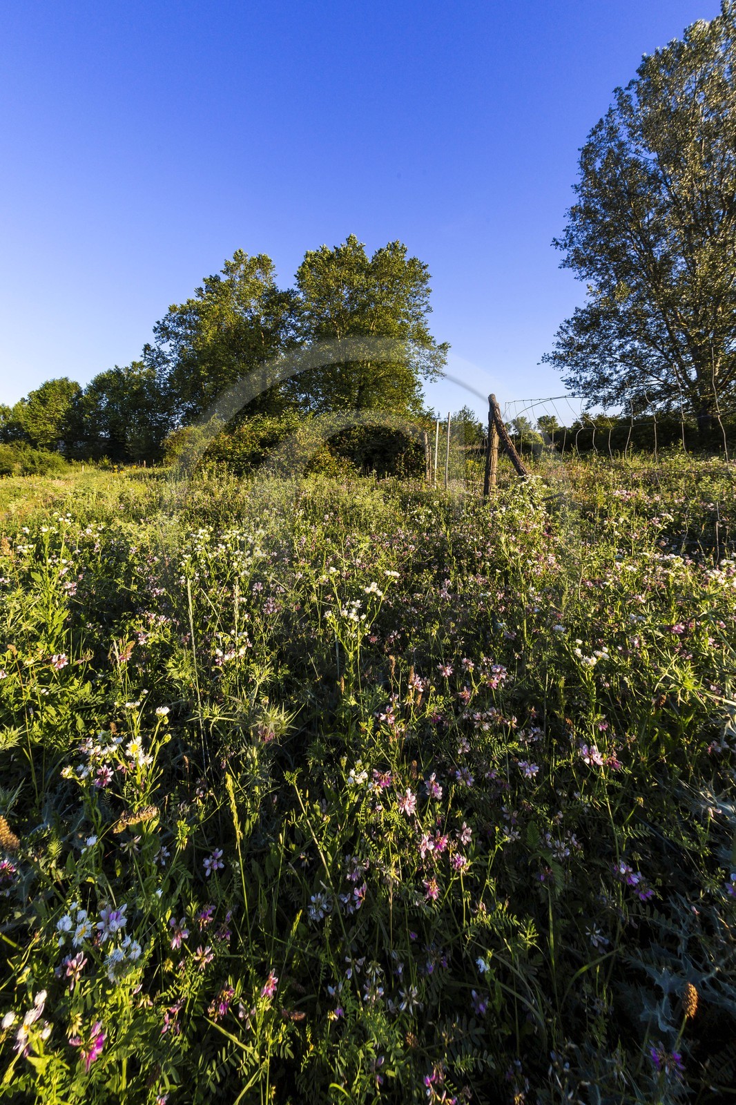 ENS de l'Isère, , le méandre des Oves