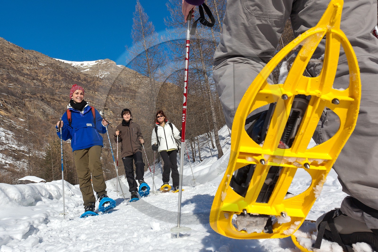 Randonnée raquettes