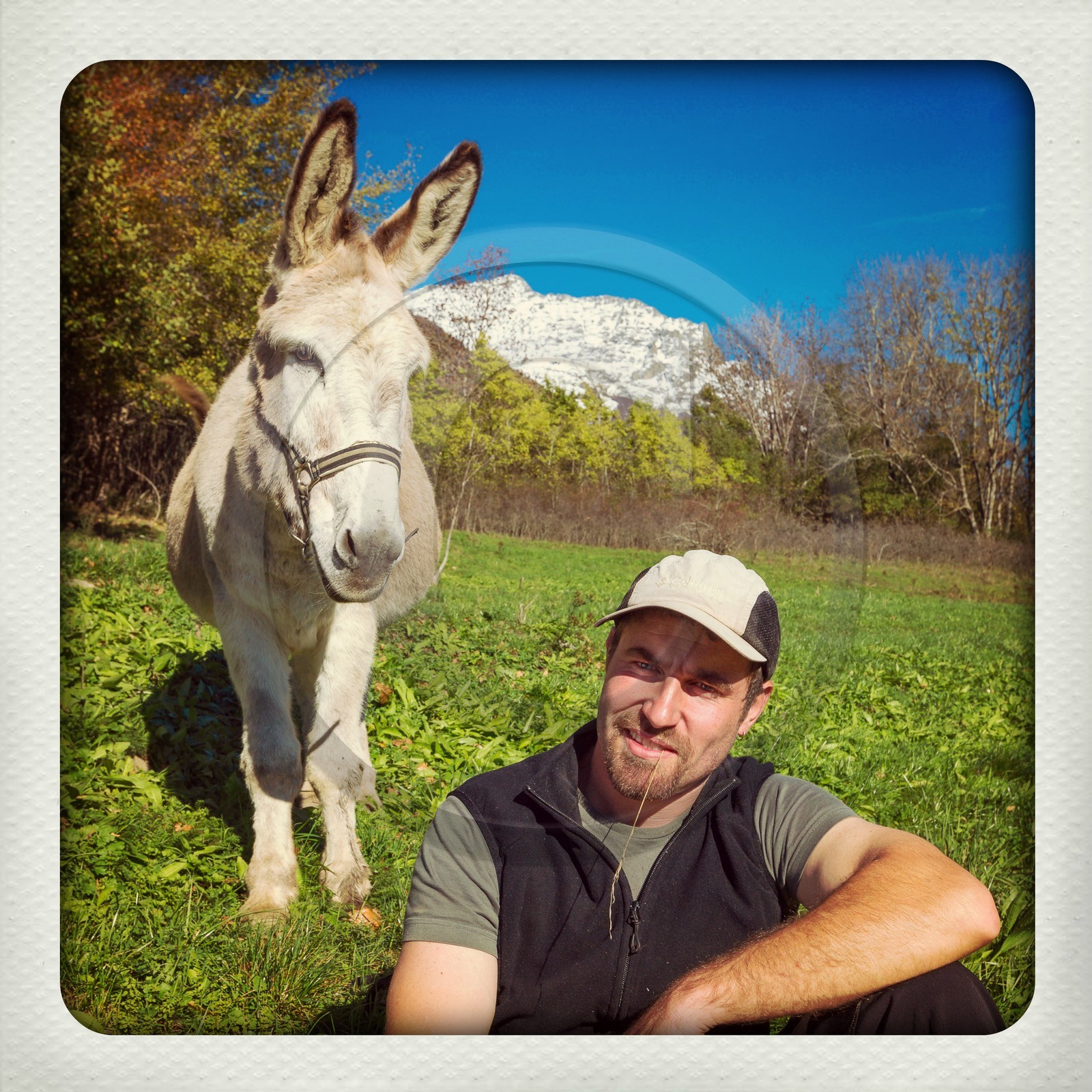 Valbonnais, quartier Les Nicolleaux, Lou pa de l'Aze, gîte et randonnée avec un âne, Yohann Masnada