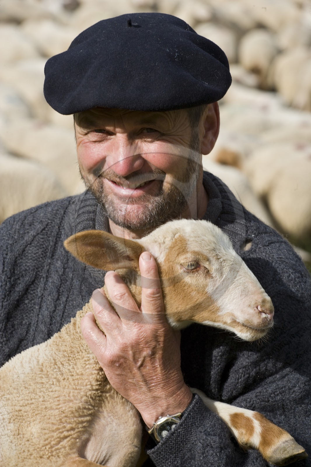 Pierre Barban, berger